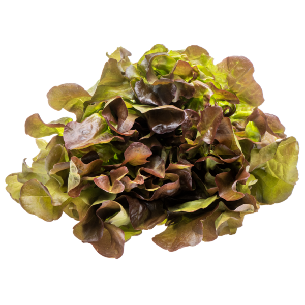Varpion Räväkkä tammenlehti 130 g