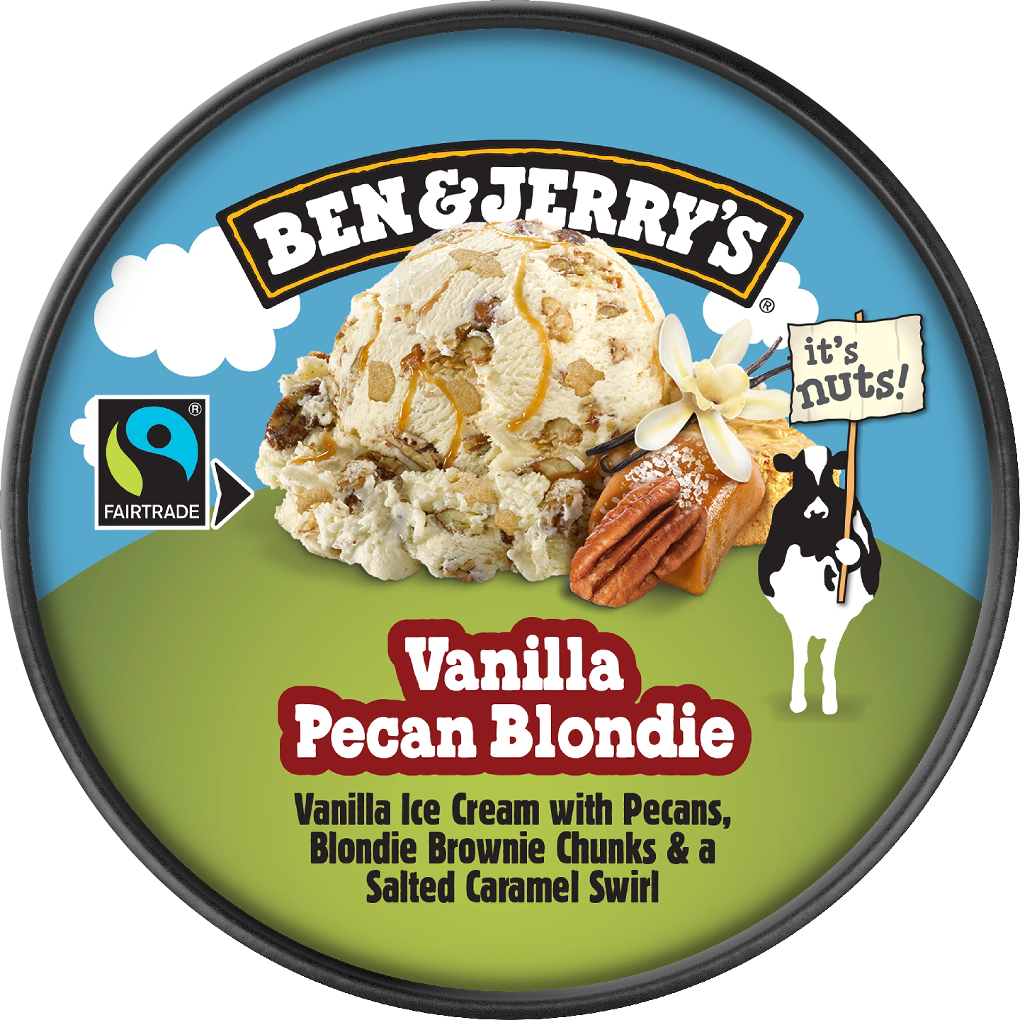 Ben & Jerry's Vanilla Pecan Blondie Jäätelö 465ml/414g