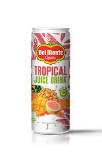 Del Monte Trooppinen mehujuoma 240ml