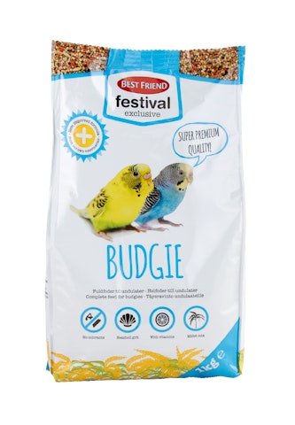 BF Festival Exclusive 1kg Budgie
