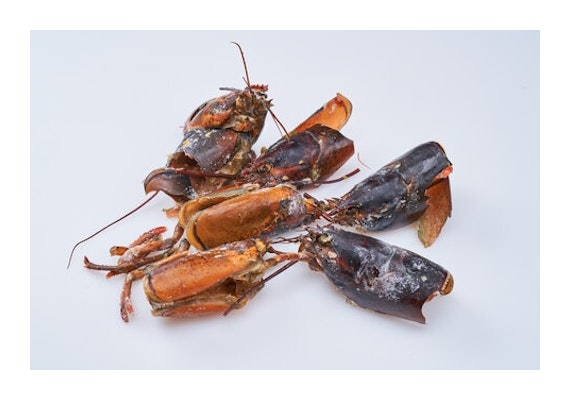 Nordic Seafood hummerin kuori 11,8kg MSC raaka pakaste