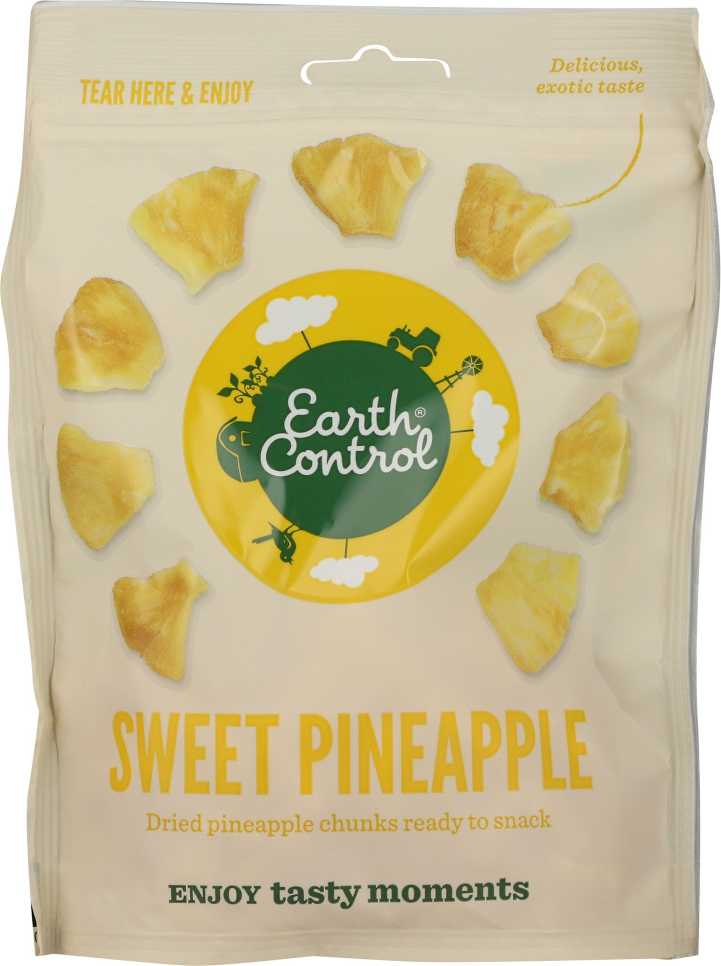 Earth Control Ananaspalat kuivattu 135g