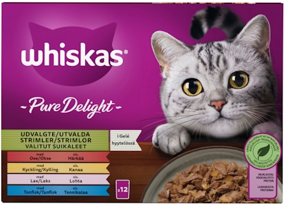 Whiskas 1+ Pure Delight valitut suikaleet hyytelössä 12x85g