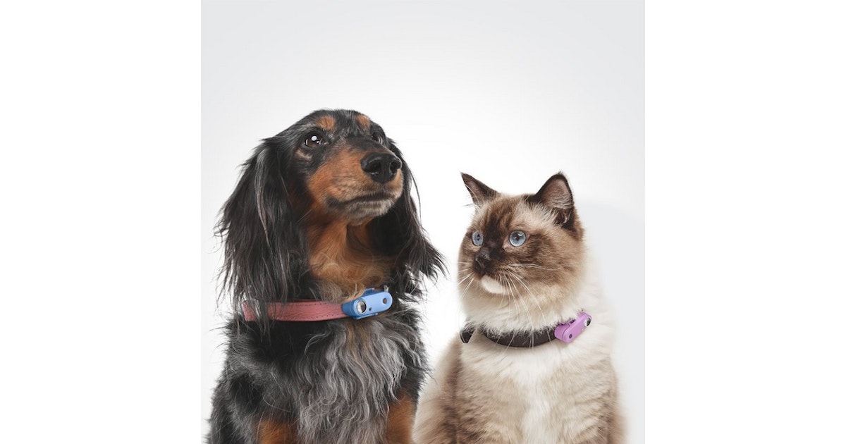 Saldi scottanti 50% di sconto🔥Repellente ultrasonico per cani e addes Saldi scottanti 50% di sconto🔥Repellente ultrasonico per cani e addes