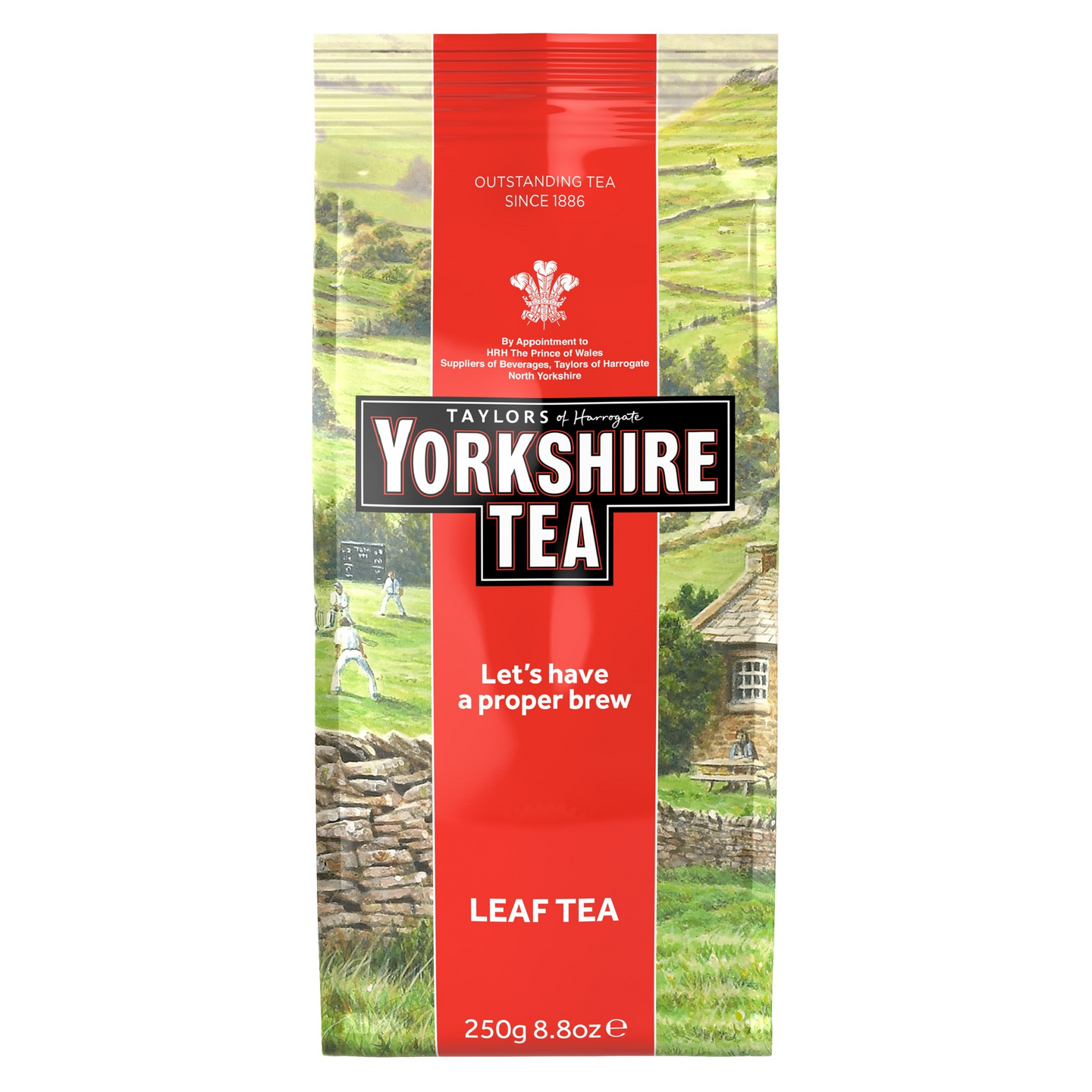 Taylors Yorkshire tea 250g musta irtotee Rainforest Alliance