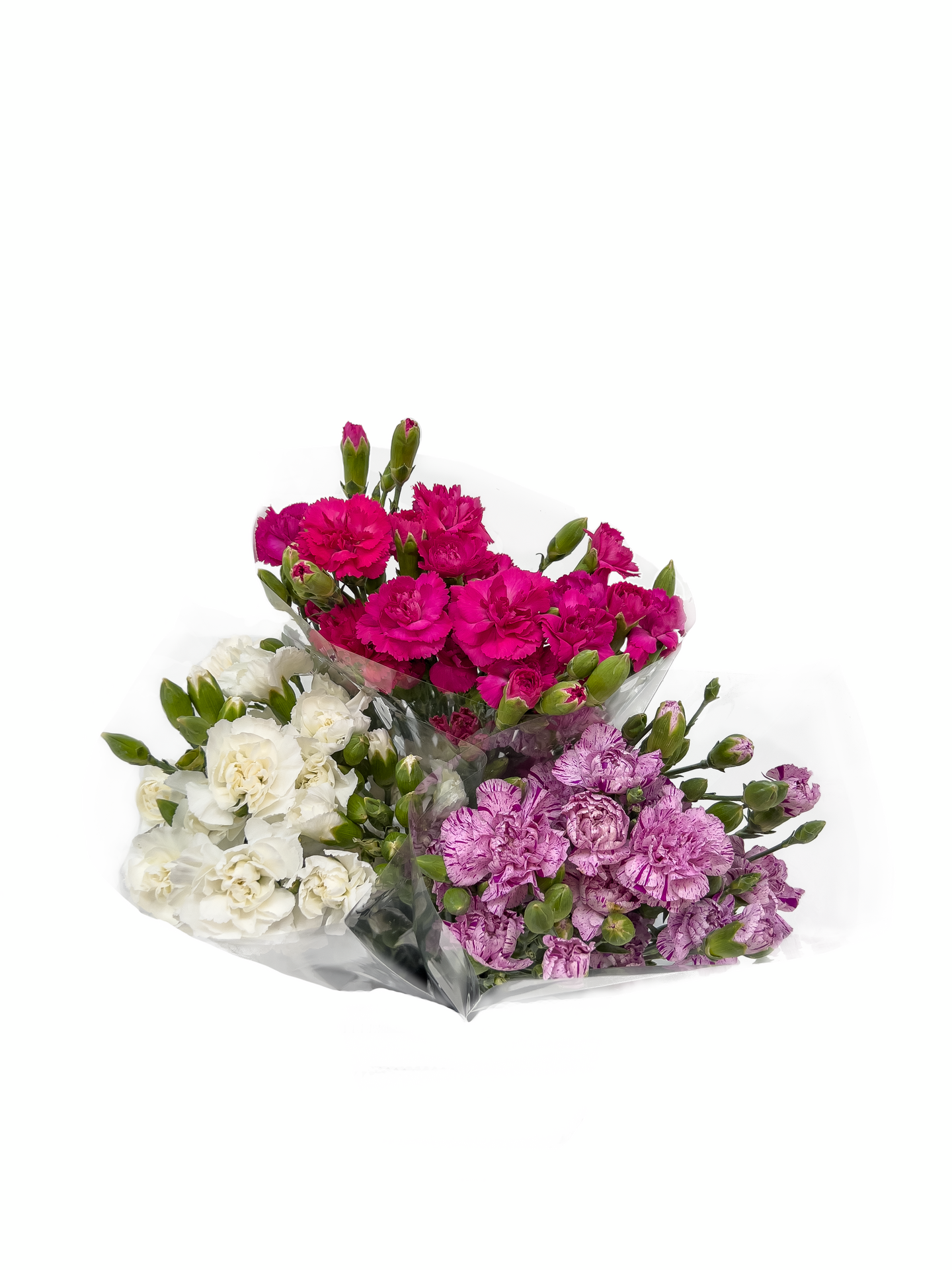 Terttuneilikka 10kpl kimppu Turkki