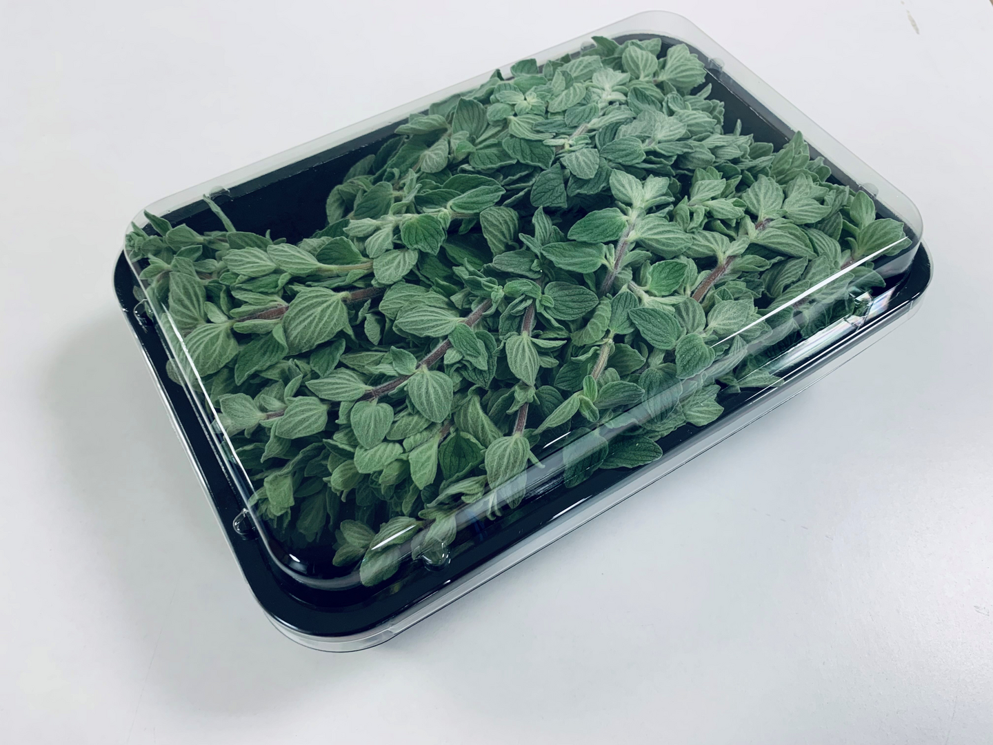 Oregano tuore 300g Kenia 1lk