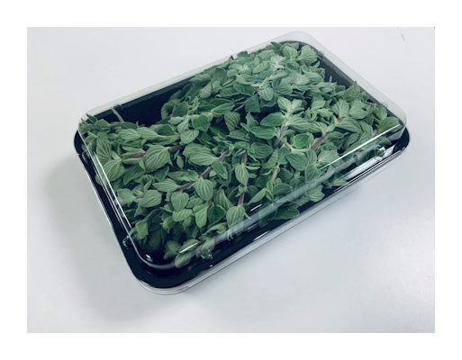 Oregano tuore 300g Kenia 1lk