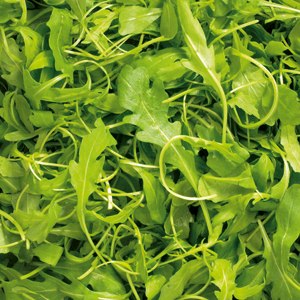 Menu rucola 200g pesty