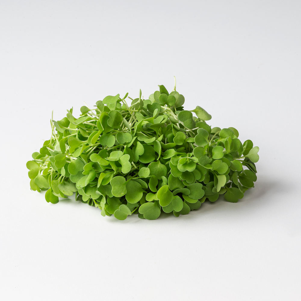 Deliverde Rucola 500g — HoReCa-tukku Kespro