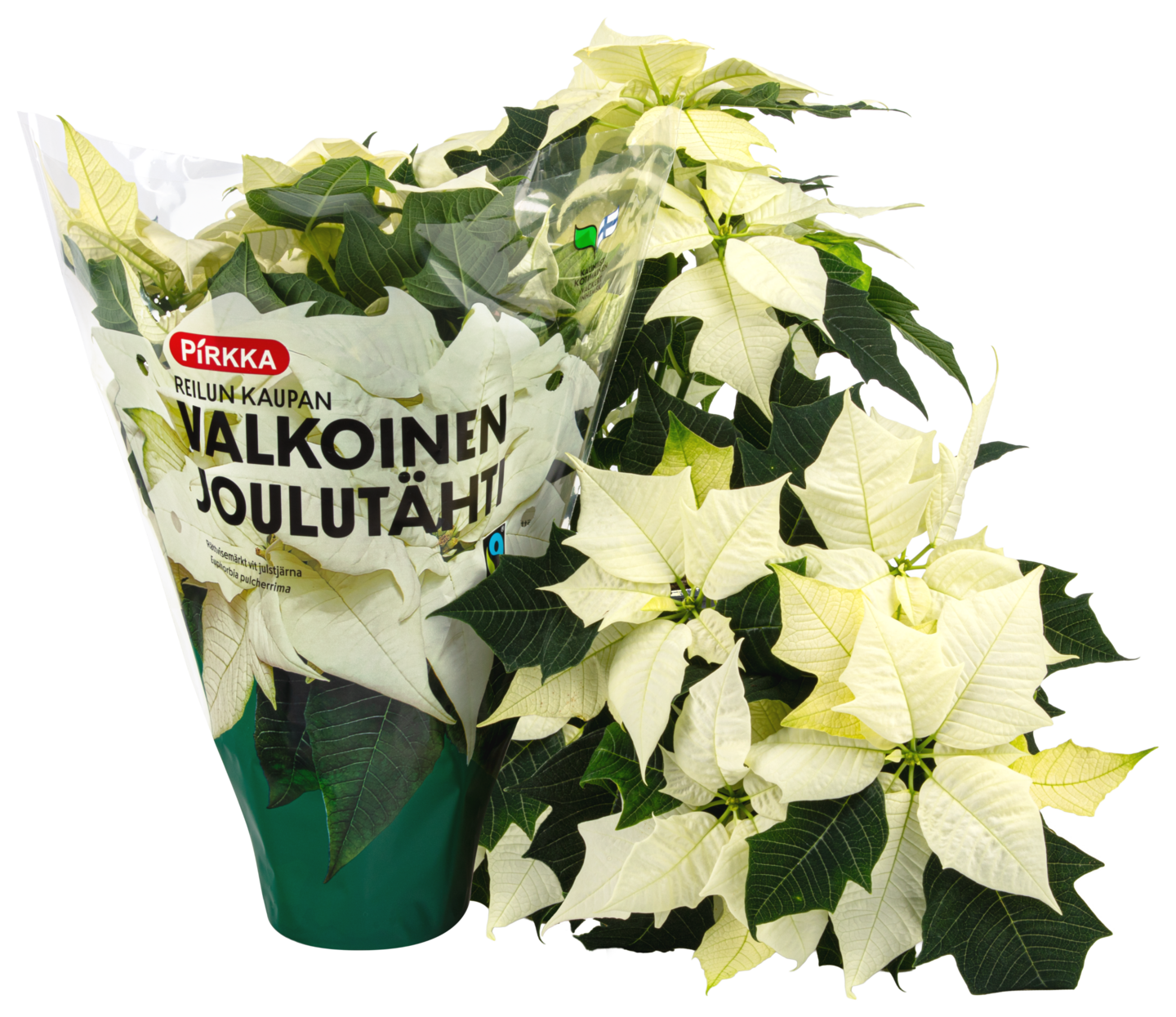 Pirkka joulutähti valkoinen Suomi