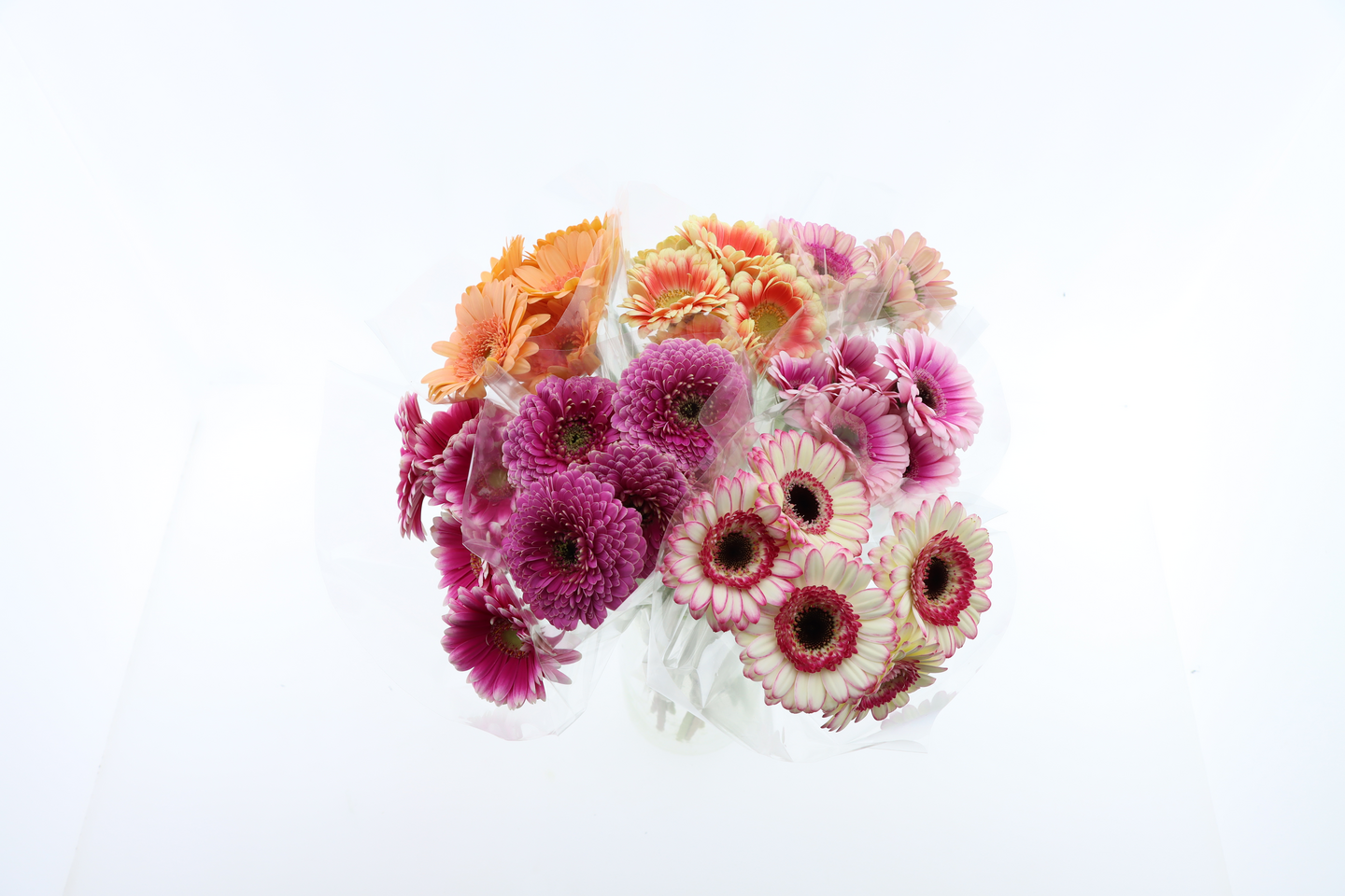 Pirkka Ota 3 maksa 2: Germini