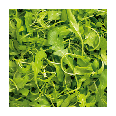 Menu rucola 350g, pesty