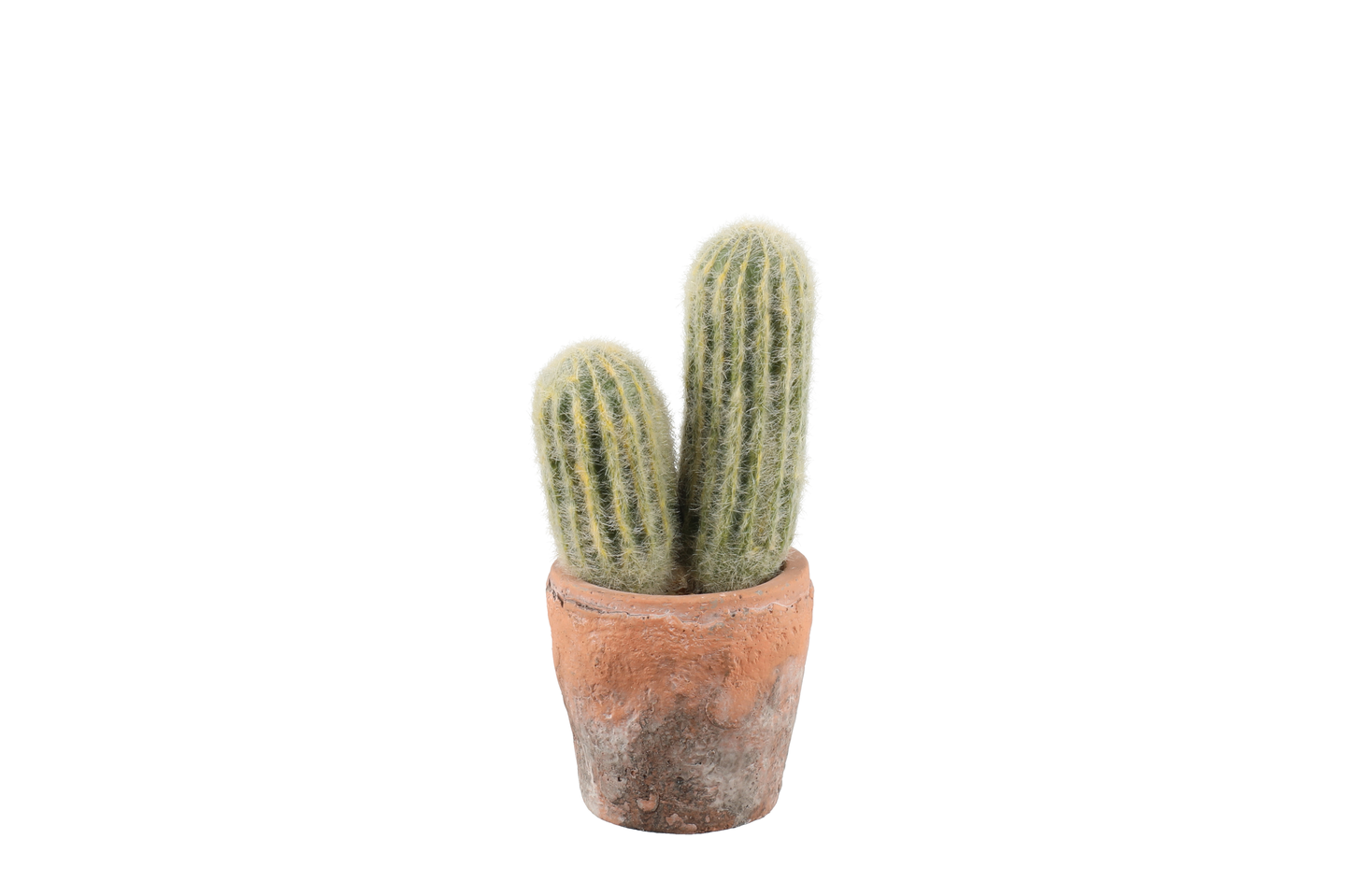 4Living Kaktus 18 cm | K-Ruoka Verkkokauppa