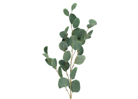 4Living Eukalyptus oksa 90 cm