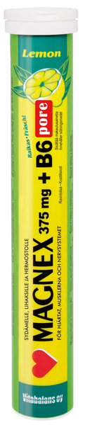 Magnex 375 mg B6 pore magnesium-B6-vitamiiniporetabletti 20 tablettia 79 g