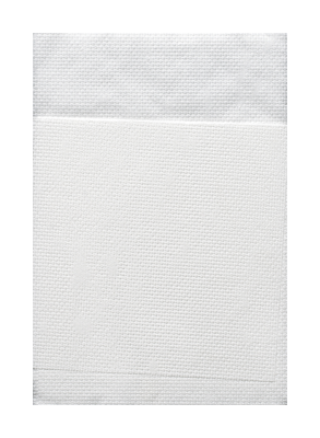 Havi Pro lautasliina 2-taitto 300kpl/16,5x30cm