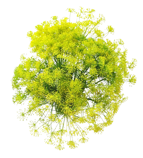 Kruunutilli 250g Suomi 1lk