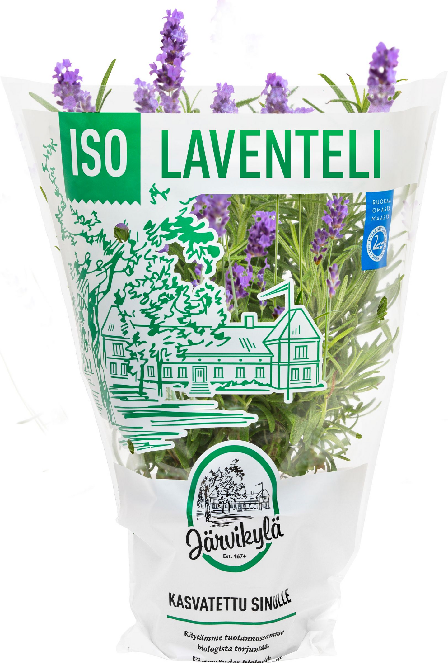 Järvikylä laventeli iso Suomi 1lk