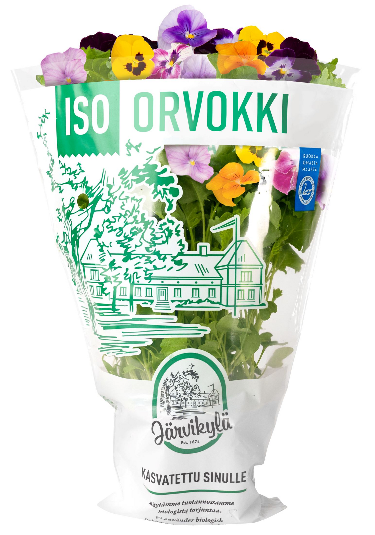 Järvikylä Orvokki iso ruukku Suomi