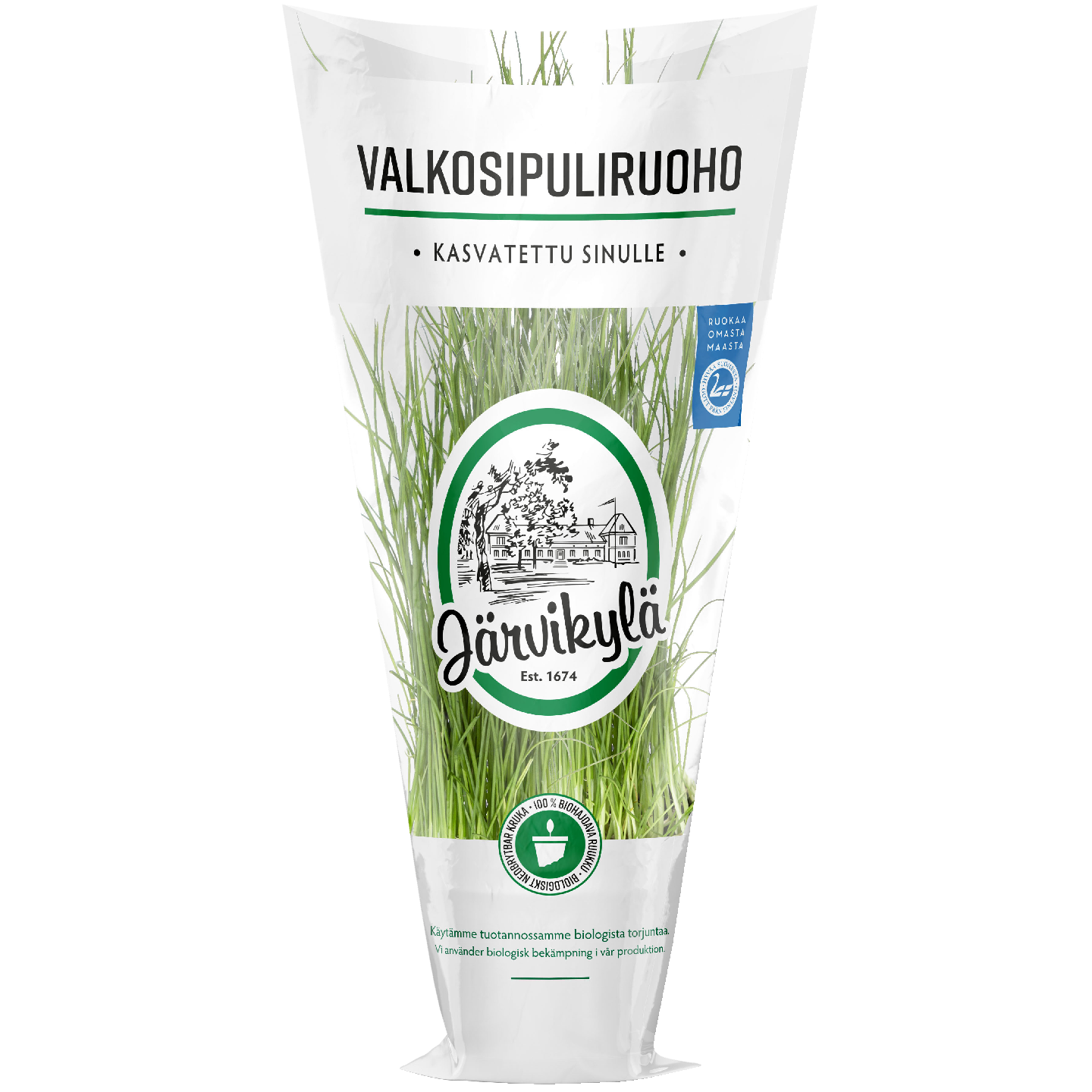 Järvikylä Valkosipuliruoho ruukku Suomi
