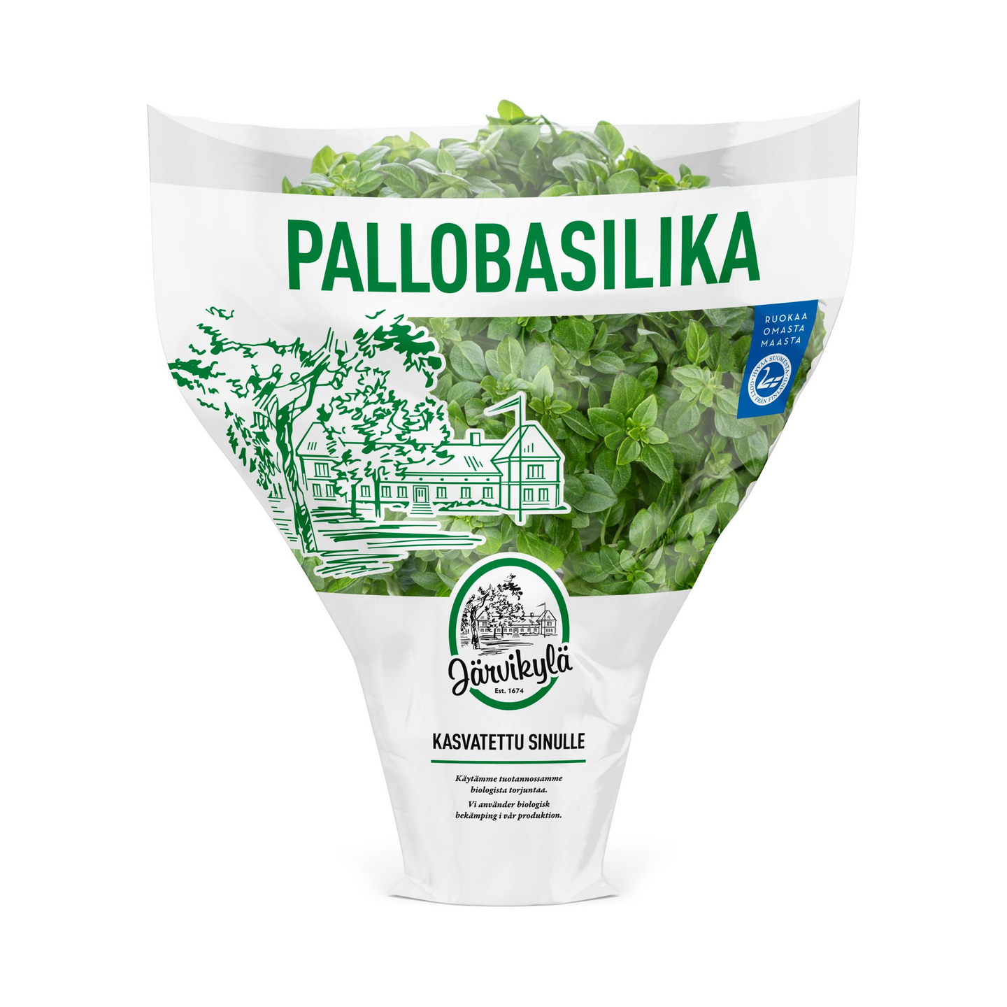 Järvikylä Pallobasilika Suomi