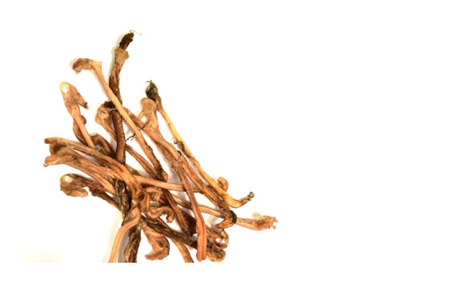 Kaikenkarvaiset lampaan sticks 100g
