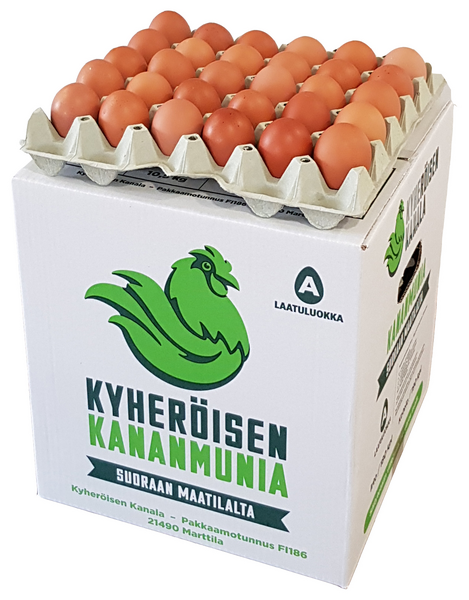 Kyheröinen ulkokananmuna GM-vapaa L 12,3kg 180kpl