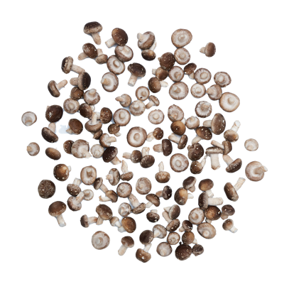 Emperor mini siitake 2kg luomu 1lk FI