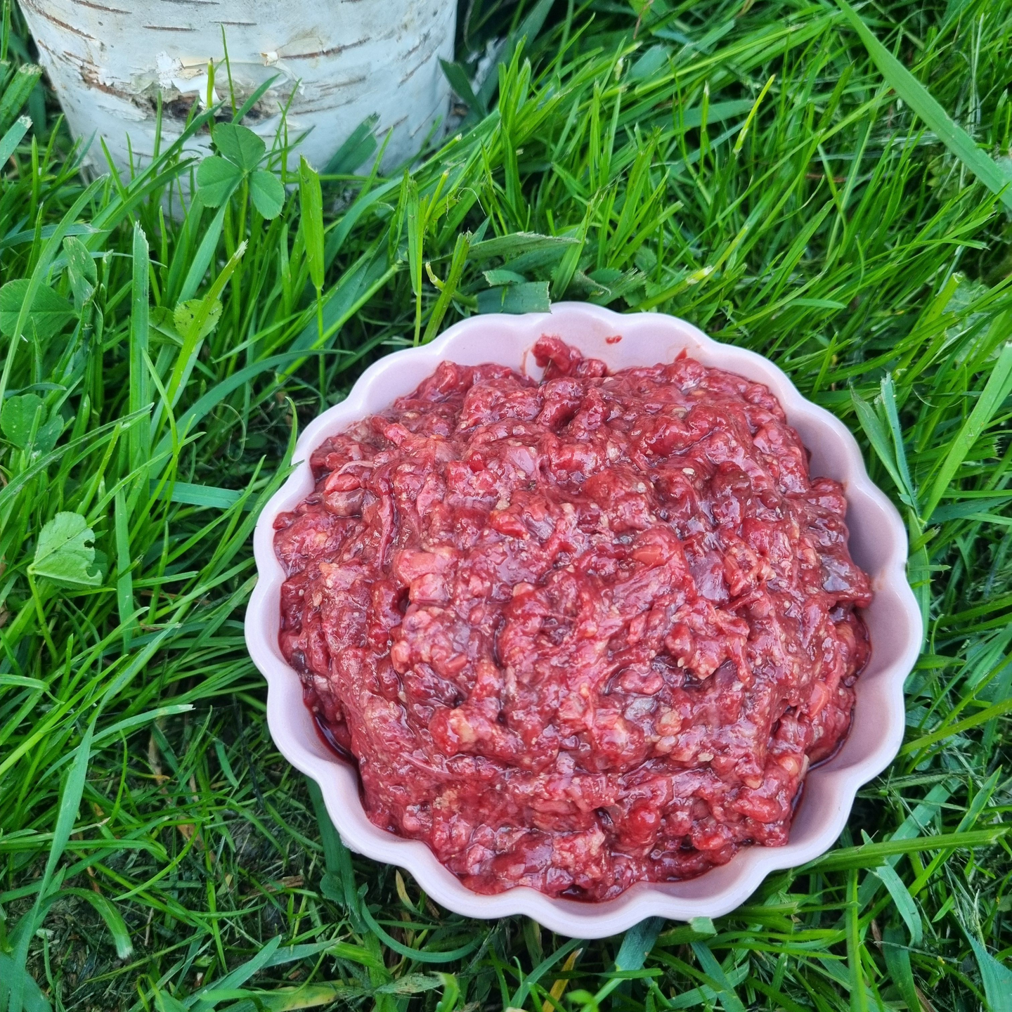 Huippu hevosen jauheliha 800g raakaruoka lemmikeille