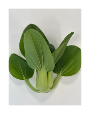 Deliverde Paksoi 200g 1lk Suomi