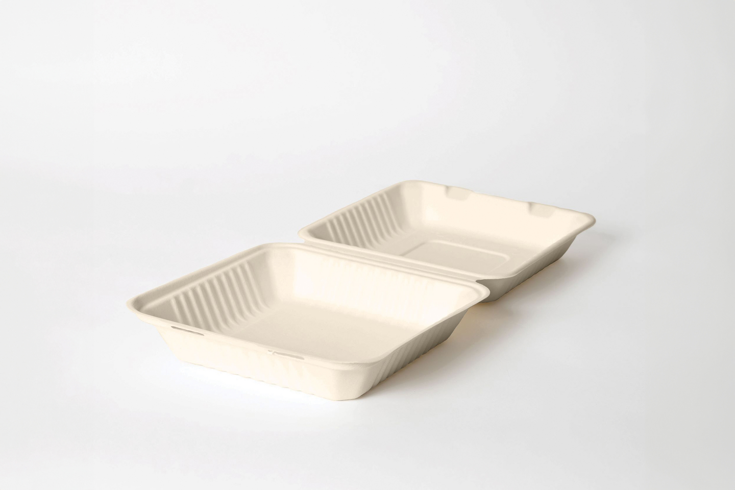 NoiBIO bagasse annosrasia 1-lokeroinen iso 23x23x8cm valkoinen 50kpl