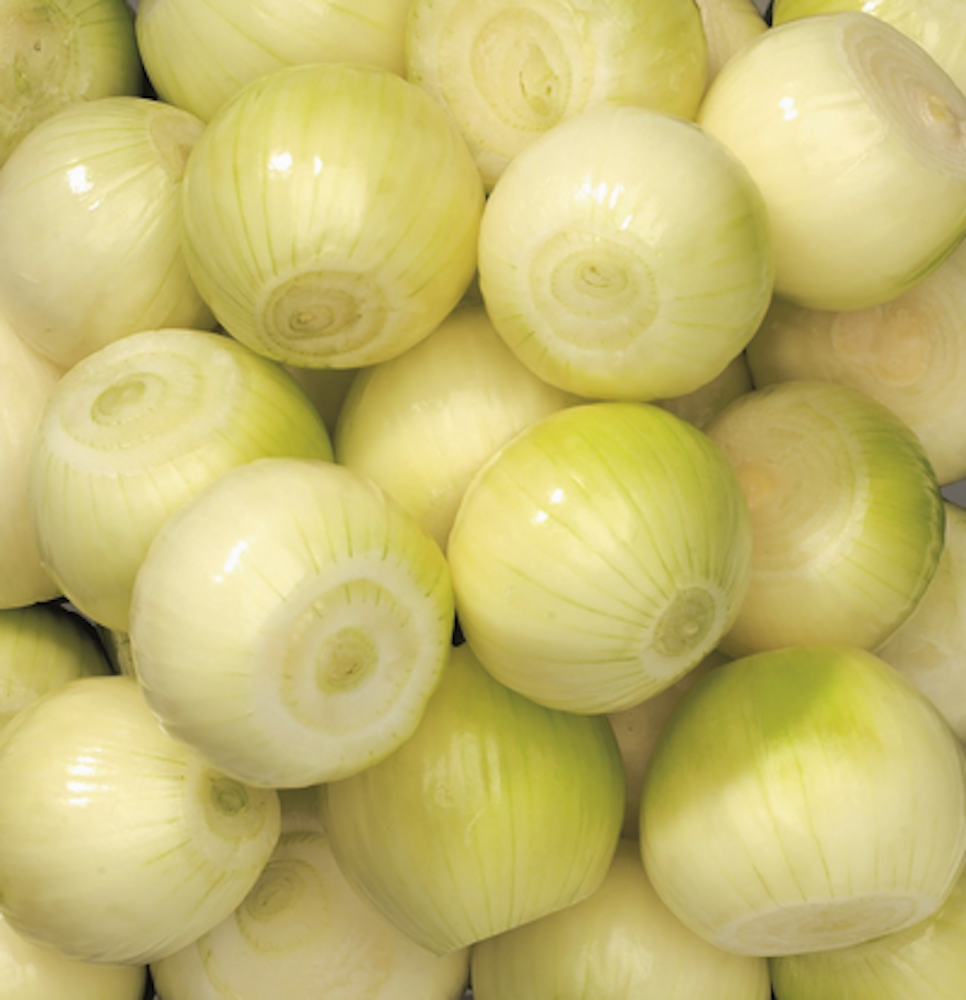 sipuli-kuorittu-5-kg-horeca-tukku-kespro