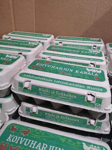 Koivuharjun kananmunia 15 kpl, Tuusniemi