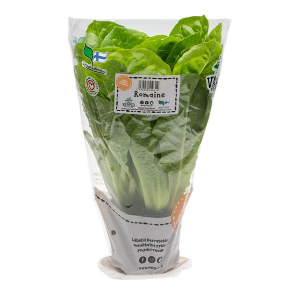 Varpion Romaine