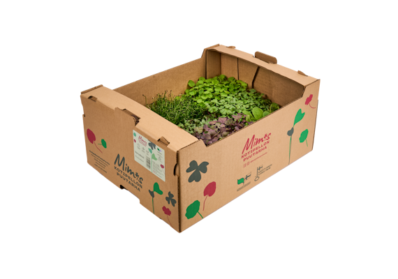 Mimis Versolaatikko 1kg Suomi