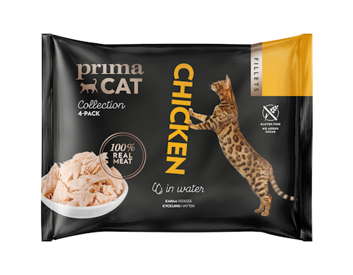 Primacat Fillets 4x50g kanaa vedessä