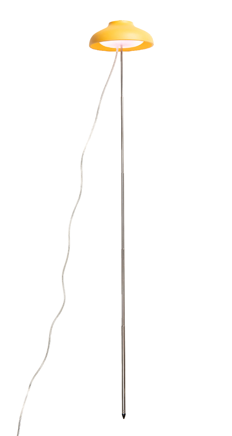 Airam Iiris kasvivalo IP20 5W 240lm keltainen