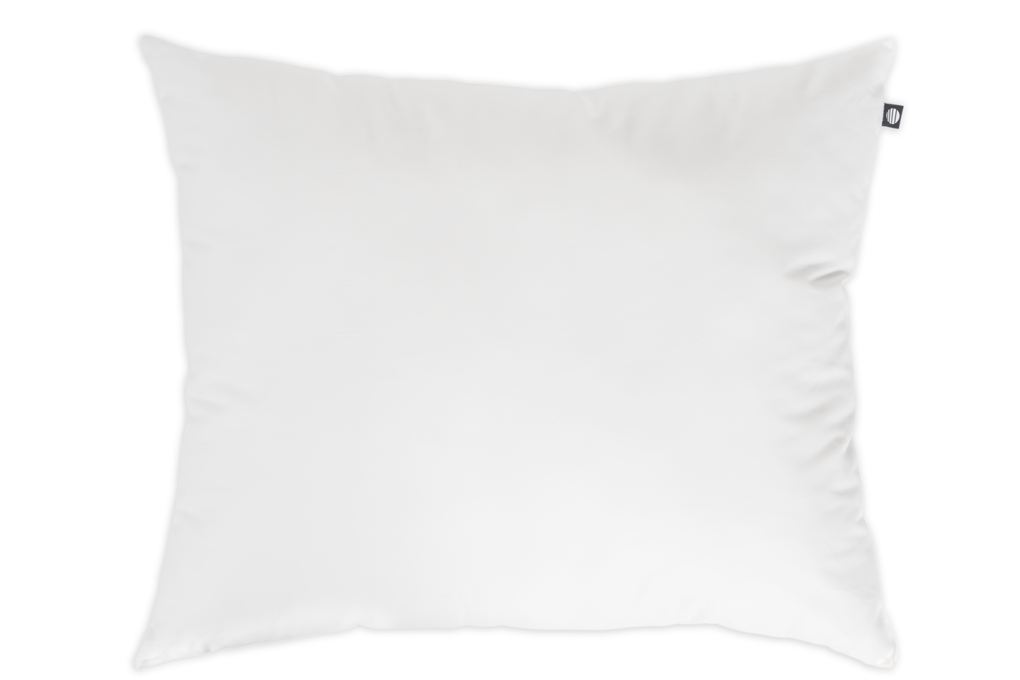 Familon Superior-tyyny 50X60cm 700g