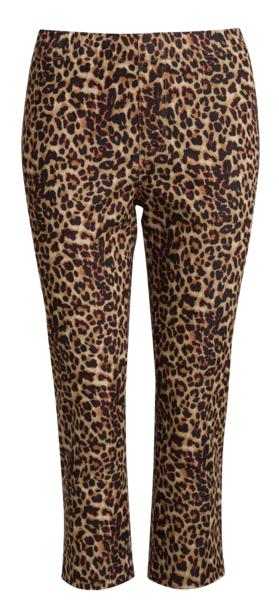 Leopard aop