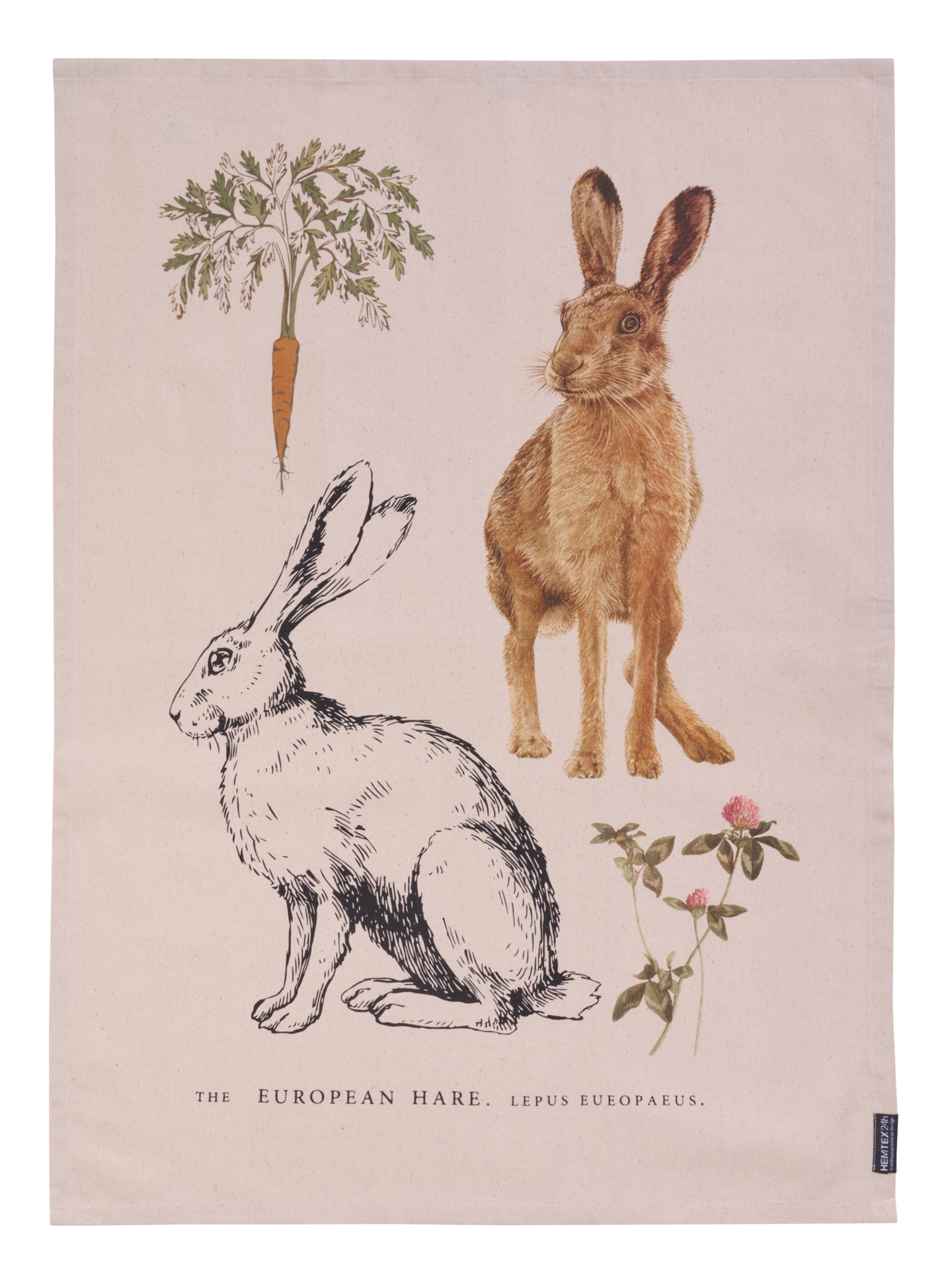 Hemtex 24h Bunny keittiöpyyhe