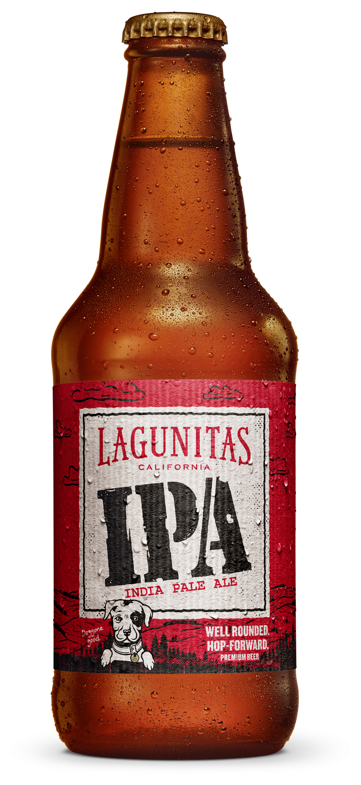 Lagunitas IPA olut 6,2% 0,355l