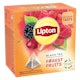 1. Lipton forest Fruit Tea 20 pyramidipussia 34g