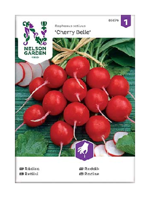 Siemen Retiisi, Cherry Belle