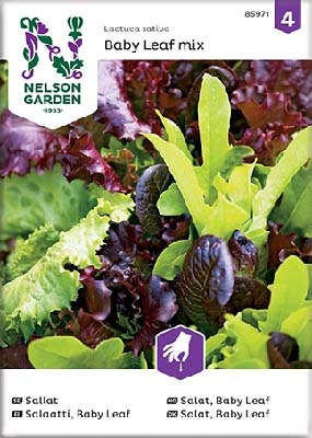 Siemen Salaatti Baby Leaf Seos