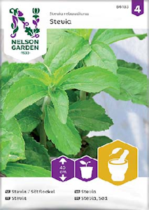 Siemen Stevia