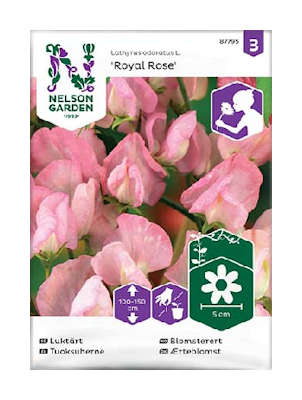 Siemen Tuoksuherne, Royal Rose