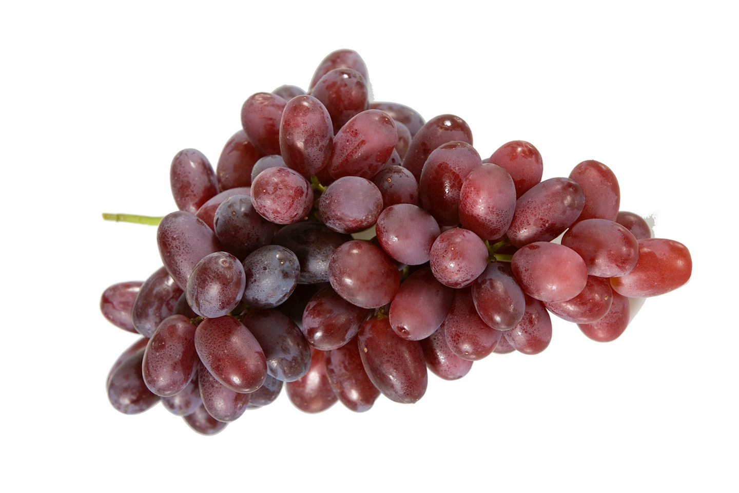 Rypäle tumma 500g