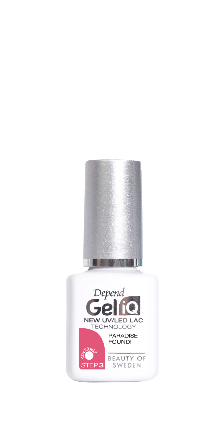 1091 paradise found!