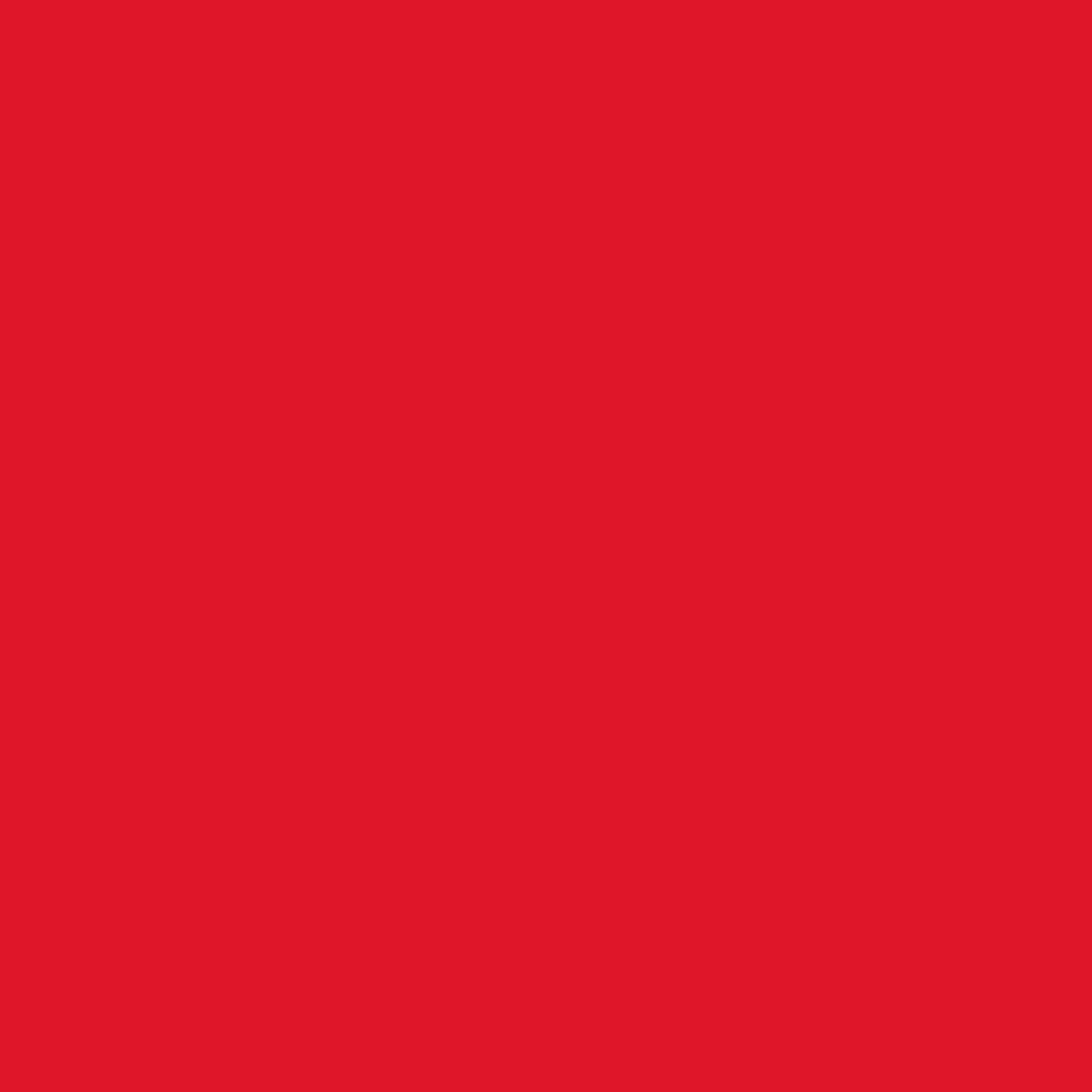 Dunisoft lautasliina 180kpl 20x20cm punainen